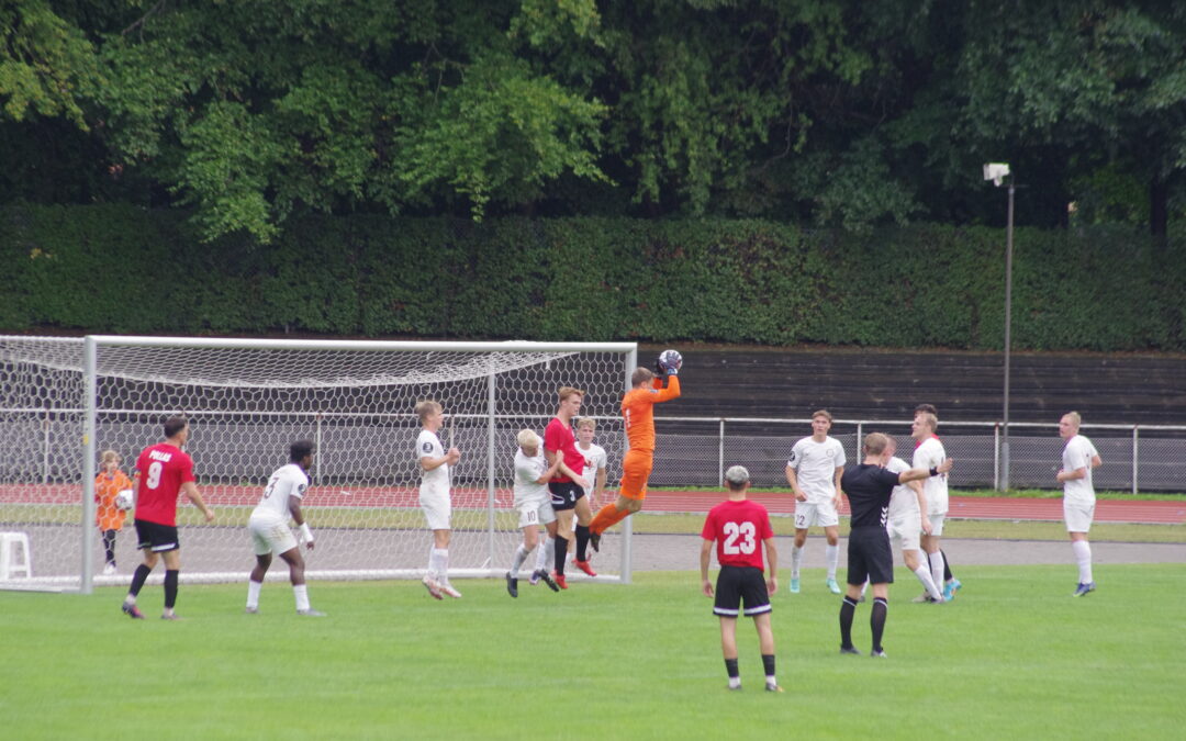 3.Divison highlights |  Young Boys FD – Middelfart (0-1)