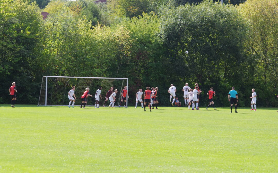 3.Divison highlights | Lyseng IF – Young Boys FD (2-2)