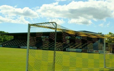 Hvepsene i 3. division