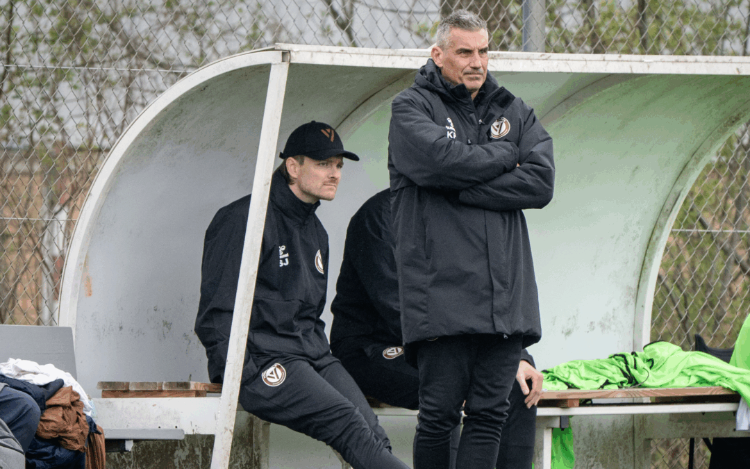 Nedrykning til Danmarksserien
