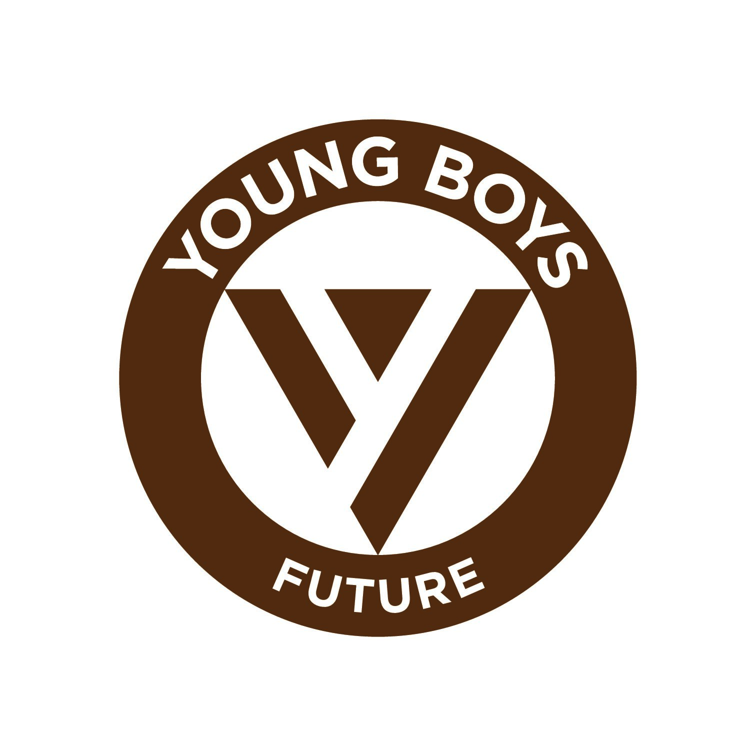 Stillingsopslag: Ambitiøse trænere til Young Boys Future